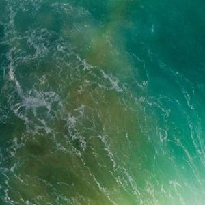 Meet your Posher, Travis